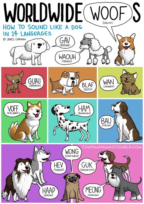 How Do Animals Sound In Different Languages Dog Sounds Animal