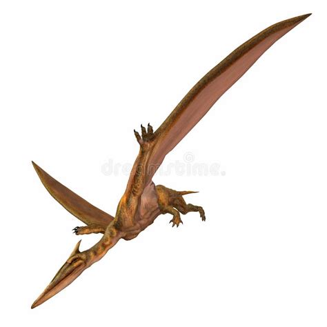 Quetzalcoatlus Stock Illustration Illustration Of Hungry 2268893