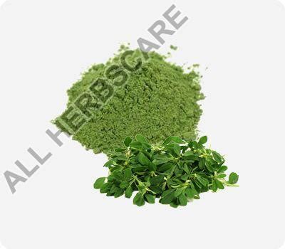 Organic Fenugreek Leaves Powder Shelf Life 6months At Best Price In