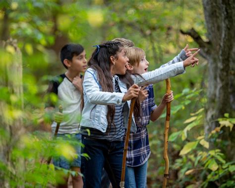 Actividades Para Realizar Con Niños Durante El Spring Break Por El