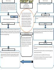 Care Map Pulmonary Embolism Pdf Objective Assessment Subjective