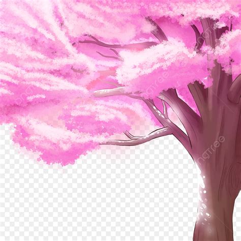 Flor De Cerezo árbol Grande árboles árbol Ornamental PNG , De, Descarga ...