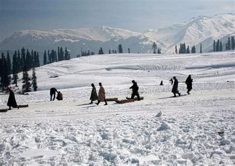 Enchanting Beauty of Gulmarg, Kashmir: Your Ultimate Travel Guide - Tusk Travel Blog