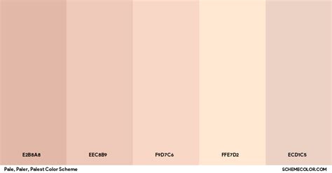 Pale, Paler, Palest Color Scheme » Brown » SchemeColor.com