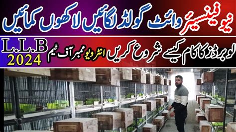 Birds Farming Business In Pakistan How To Start Birds Business