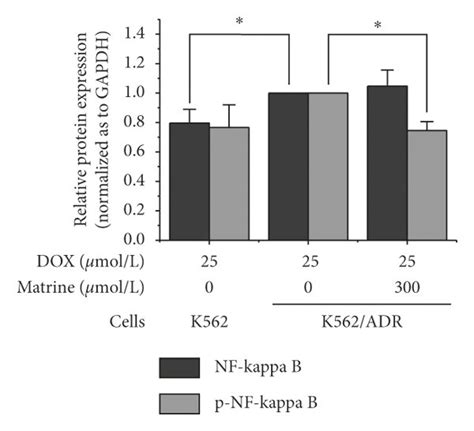 Effects Of Matrine On Drug Exporters And Activation Of Nf Kappa B A