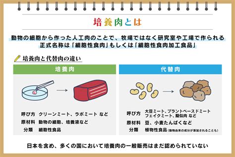 培養肉とは？ 代替肉との違いや作り方、安全性やメリット・課題を解説：朝日新聞sdgs Action