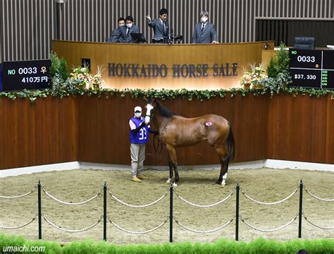 サマーセール出身馬【ショウガタップリshoga Tappuri】が「ノトキリシマ賞3歳牝重賞」を優勝 【サラブレッドセール（せり