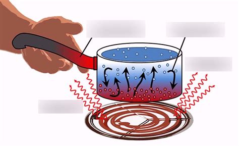 Heat Transfer Diagram | Quizlet