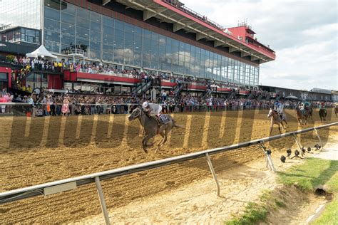 Black Eyed Susan And Preakness Stakes Days Bloodhorse Photo Store