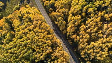 7 Leaf Peeping Road Trips Perfect For Electric Vehicles Leaf Peeping