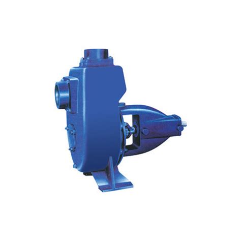 Globe Star Single Phase Centrifugal Self Priming Pump 1 Hp Electric At Rs 18000unit In Ahmedabad