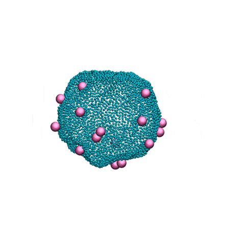 Biological Membranes — Šarić Lab