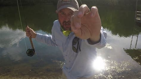 Fly Fishing For Bluegill How I Do It Youtube