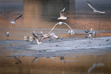 Regionalni park Mura Drava slavi svoj 13 rođendan