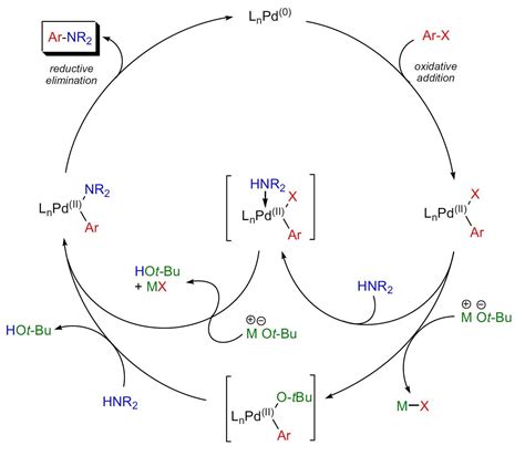 Raji Chem World Palladium Catalyzed Cross Coupling Reactions