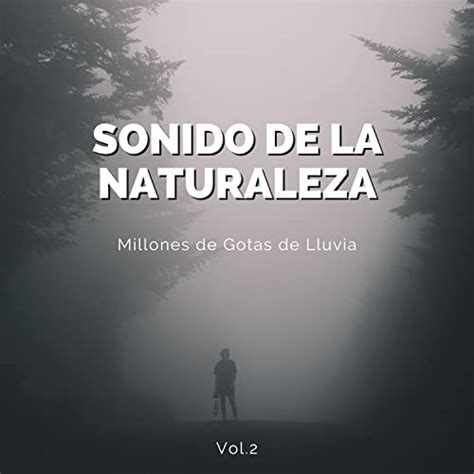 Play Sonido De La Naturaleza Millones De Gotas De Lluvia Vol By