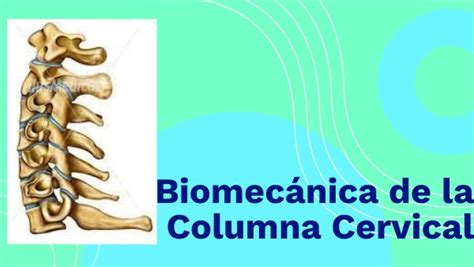 Biomec Nica De La Columna Cervical