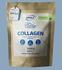 Collagen Pulver Bioaktives Kollagen Hydrolysat Peptide Eiweiß Pulver