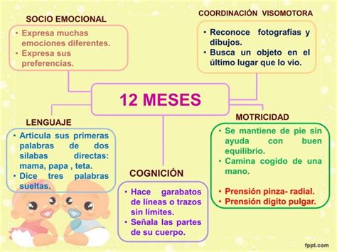 Evaluación De Los Hitos Del Desarrollo Psicomotriz En El Menor De 1 Año Cicat Salud Ppt