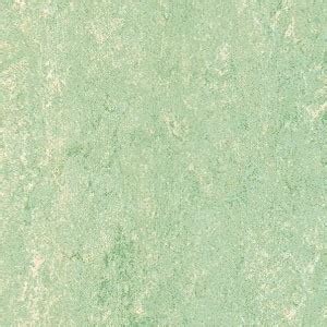 Cool Green Natural Linoleum Tile - Contemporary - Vinyl Flooring - by Green Goods Products