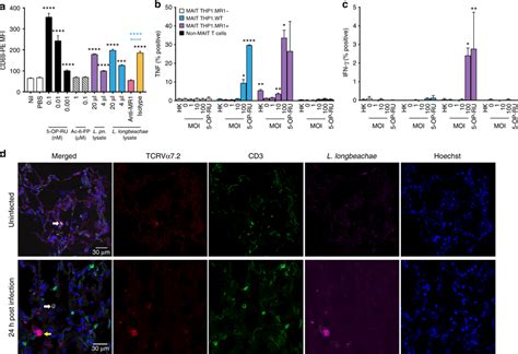 Human Mait Cells Are Activated By Legionella Infection Via Mr In