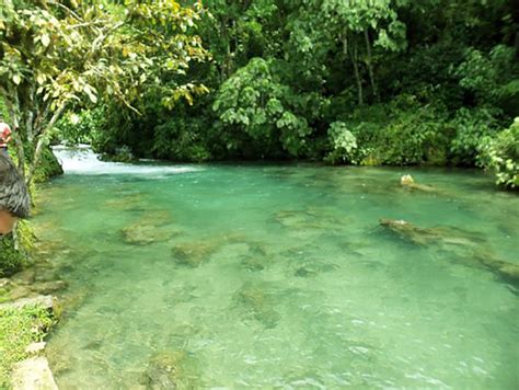 Los Mejores Lugares Tur Sticos De La Selva Que Debes Conocer