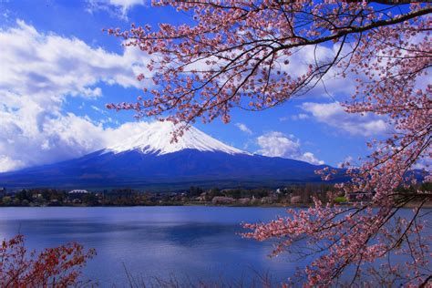 日本の風景「桜と富士山」壁紙1920x1280 壁紙館