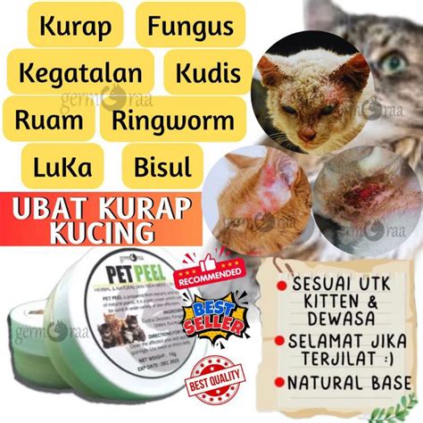 Ubat Kurap Anti Fungus Bakteria Kuman Ringworm Luka Sporo Bisul