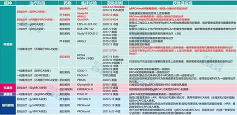 Fda出手！接连撤回parp抑制剂卵巢癌部分适应症！fda新浪财经新浪网