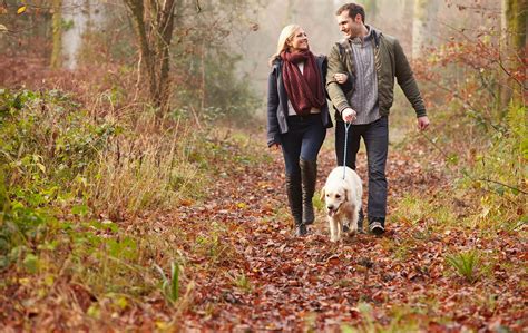 dog friendly woodland walks visit cornwall travel trade travel media