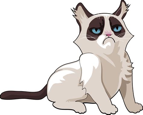 Grumpy Cat Meme Png Download Image Png Arts