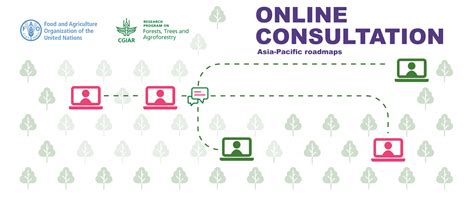 Contribute Roadmaps For Primary Forests Conservation And Innovative