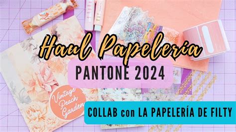 HAUL papelería bonita Collab con lapapeleriadefilty pantone