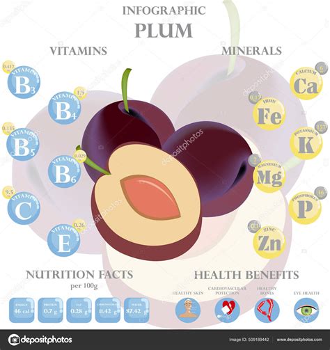 Plum Nutrition Facts Health Benefits Infographic Health Benefits Plum ...