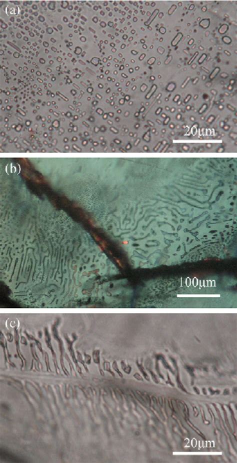 Photomicrographs Of Different Types Of Fluid Inclusions In The