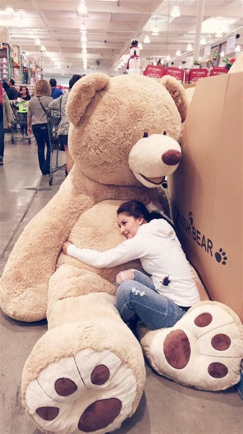 Cute Big Teddy Bear Tumblr