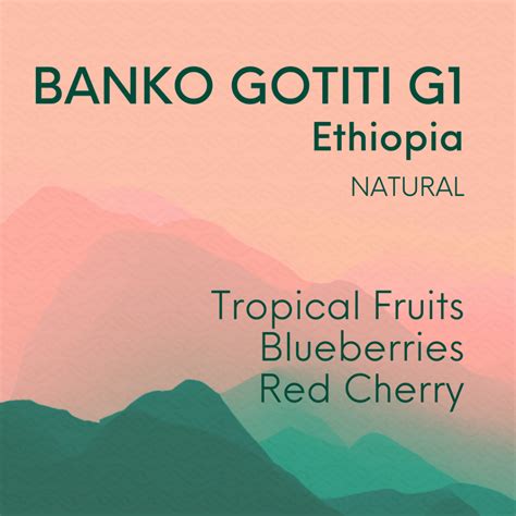 Filter Ethiopia Yirgachefe Banko Gotiti G Ari Roastery Freshly