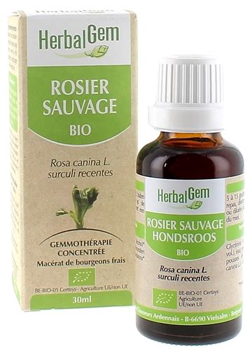 Herbalgem Rosier Sauvage Bio Herbalgem Ml