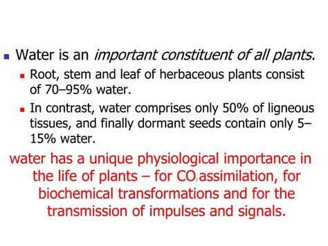 Ppt Why Study Soil Plant Water Relations Powerpoint Presentation