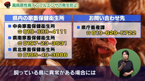 【いわて！わんこ広報室】 第32回「高病原性鳥インフルエンザの発生防止～養鶏産業と我が家の鳥を守ろう～」 Youtube