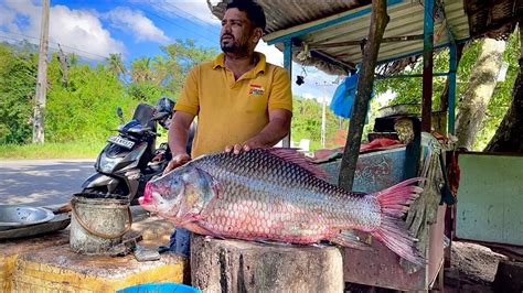 Monster Kg Big Catla Fish Cutting Skills With Yummy Eggs Live In