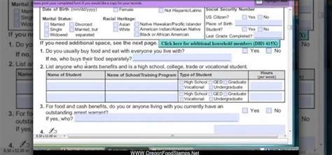 Online Food Texas Online Food Stamp Application