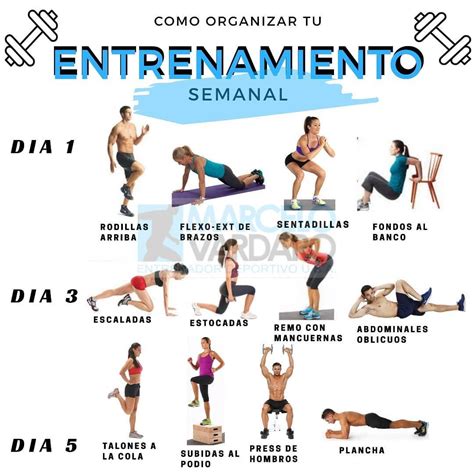 Rutina De Entrenamiento Semanal⠀ ⠀ Te Dejamos Esta Increible Rutina De Rutinas De