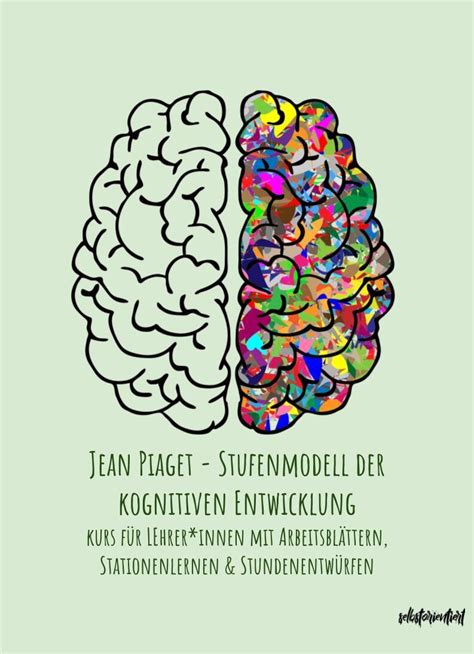 Jean Piaget Unterrichtsmaterial Stufenmodell Der Kognitiven Entwicklung