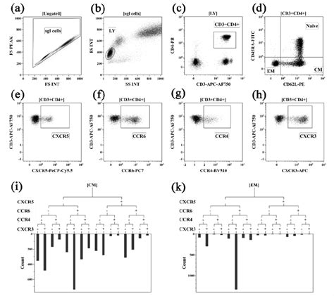 Flow Cytometric Gating Strategy Used To Identify Main Th Cell Subsets