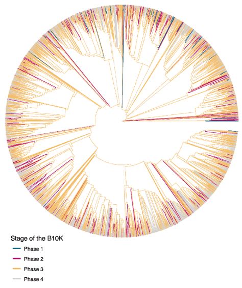 Genomes Available Or In Preparation Of The 10 135 Species Of Birds