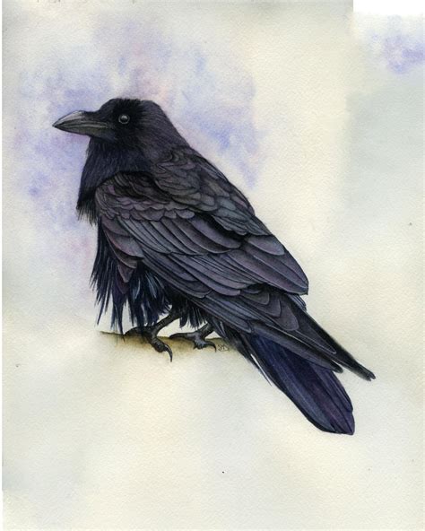 One Of My Raven Paintings Rcrowbro