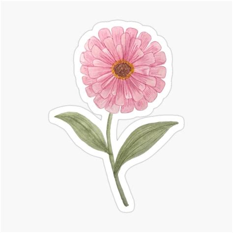 Zinnia Hand Painted Sticker Sticker For Sale By Viktorijadun Floral