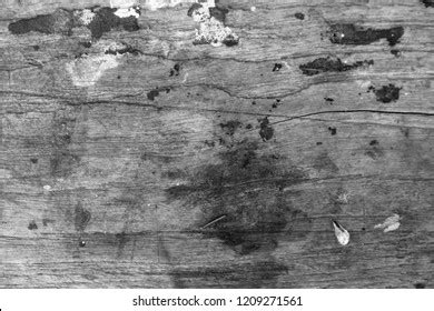 White Old Wood Textures Background Stock Photo 1029989068 Shutterstock